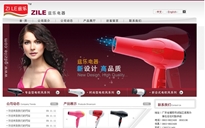 揭陽市試驗(yàn)區(qū)溪南茲樂電器廠